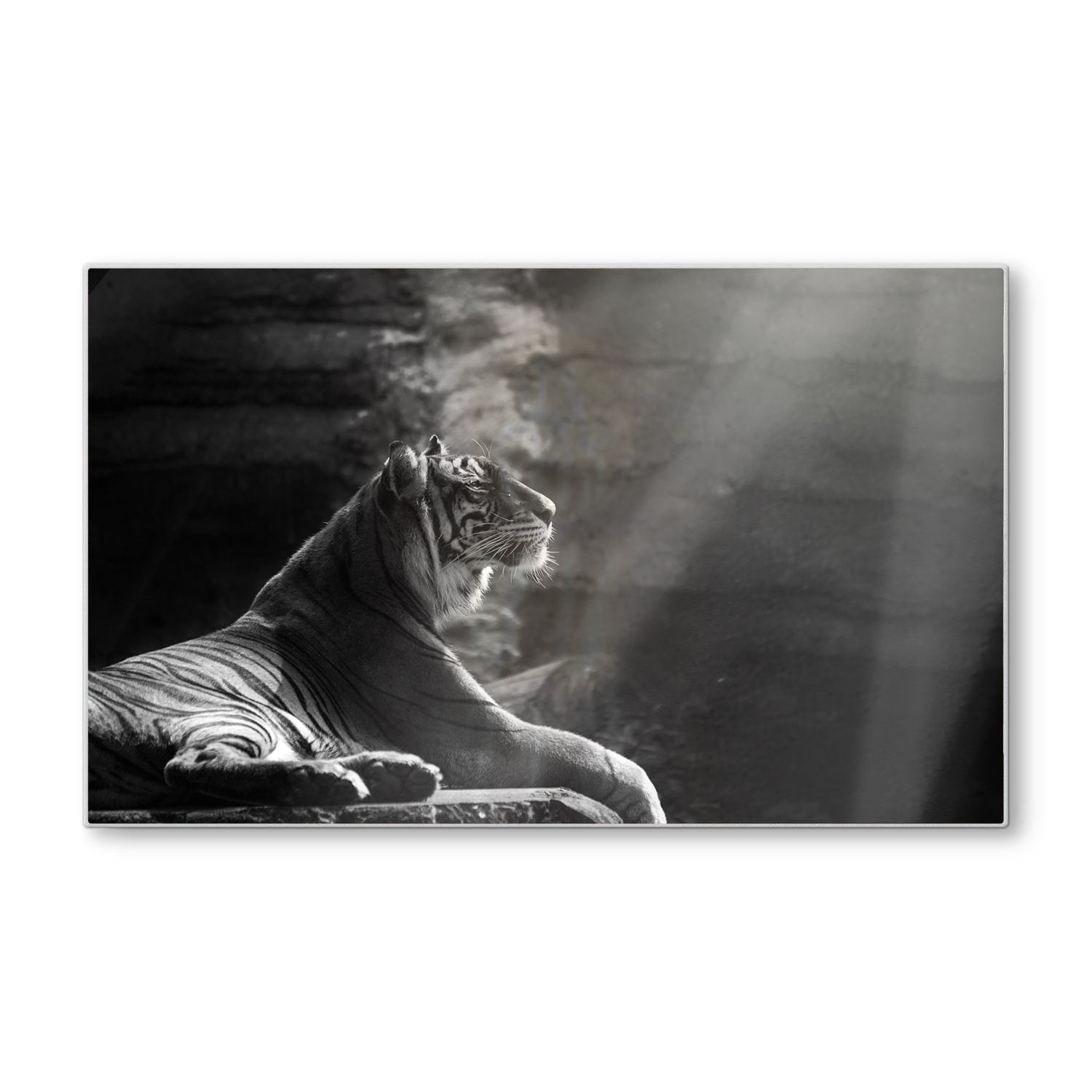 Schneidebrett - Sumatra-Tiger