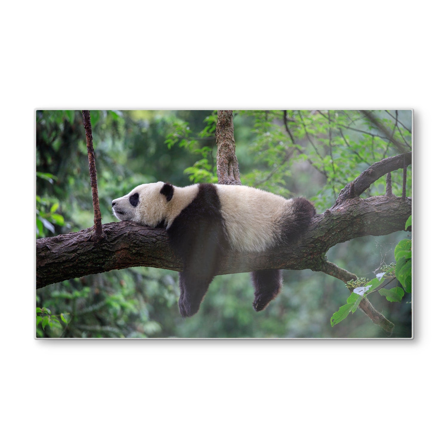 Schneidebrett - Panda