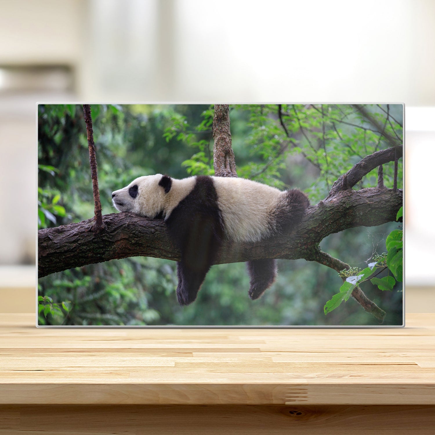 CB_30x20_211429396, CB_40x30_211429396