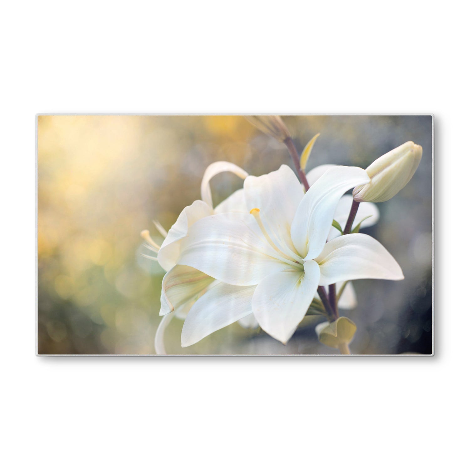 Schneidebrett - Weiße Lilienblüte