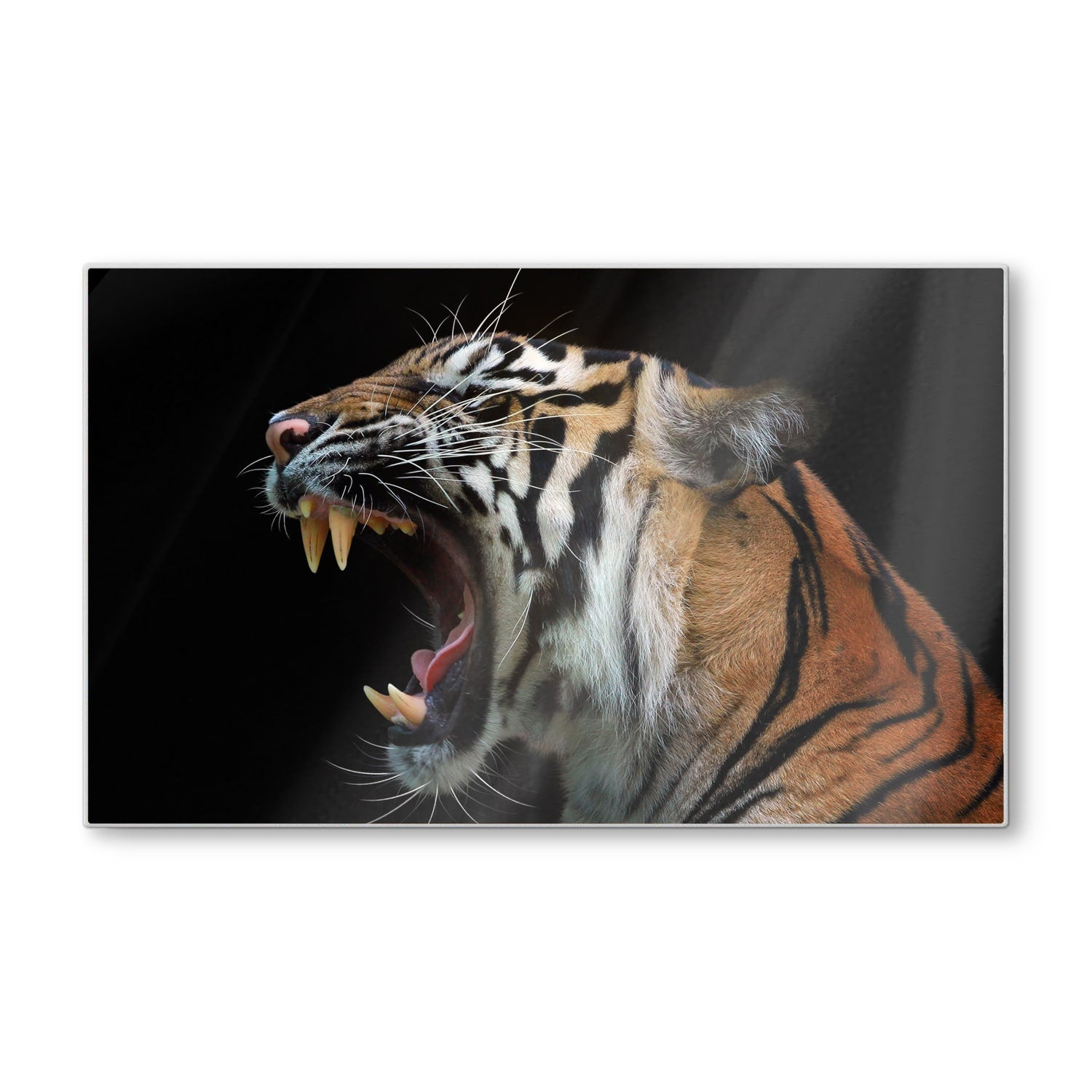 Schneidebrett - Kopf des Sumatra-Tigers