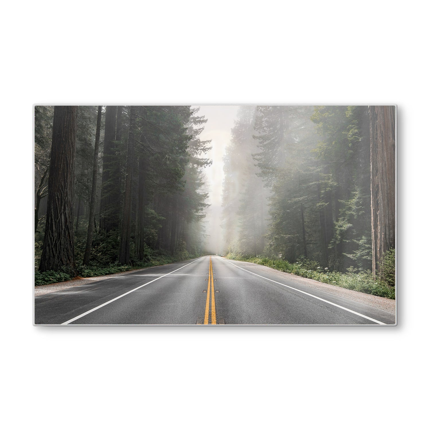 Schneidebrett - Redwood National Forest