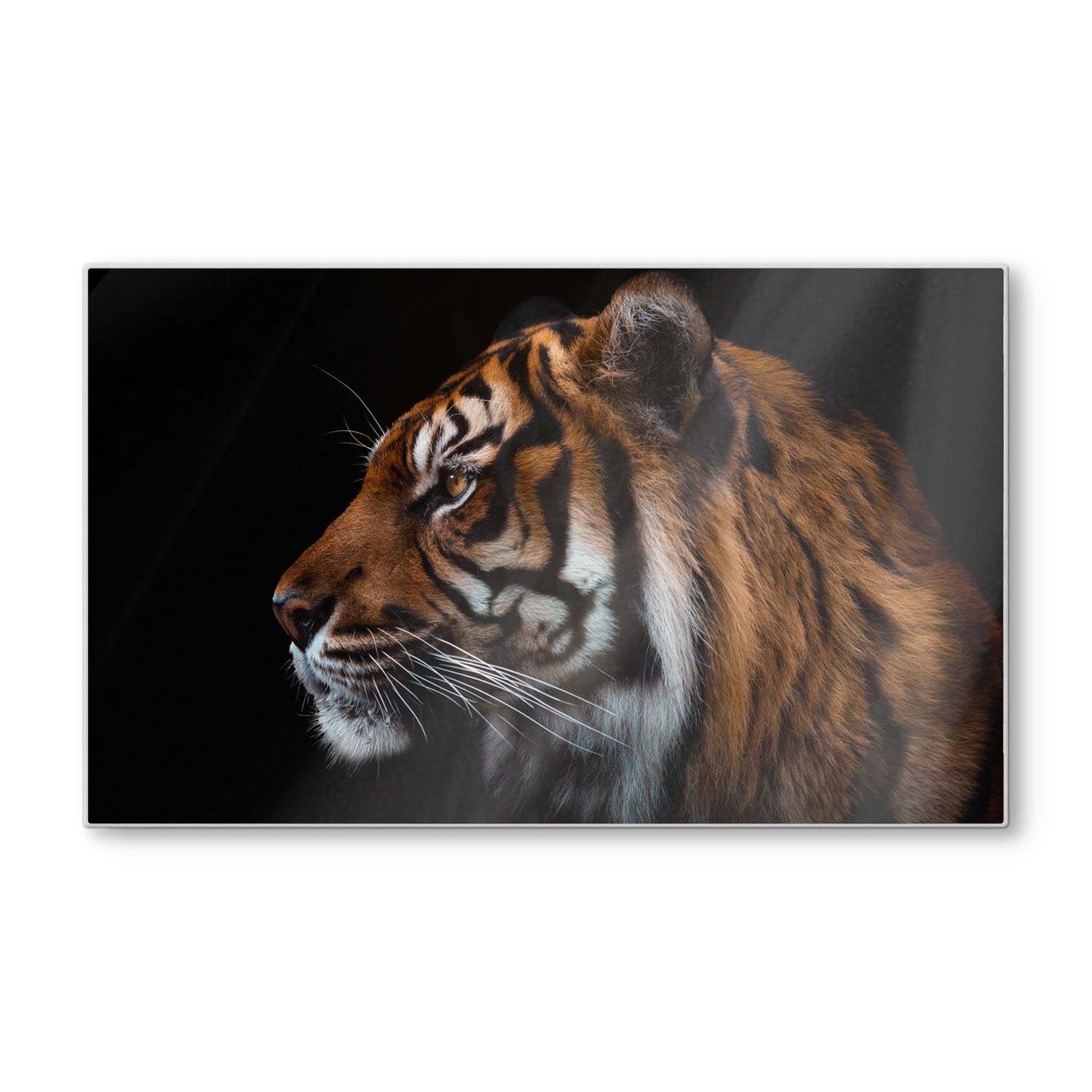 Schneidebrett - Tiger-Seitenporträt