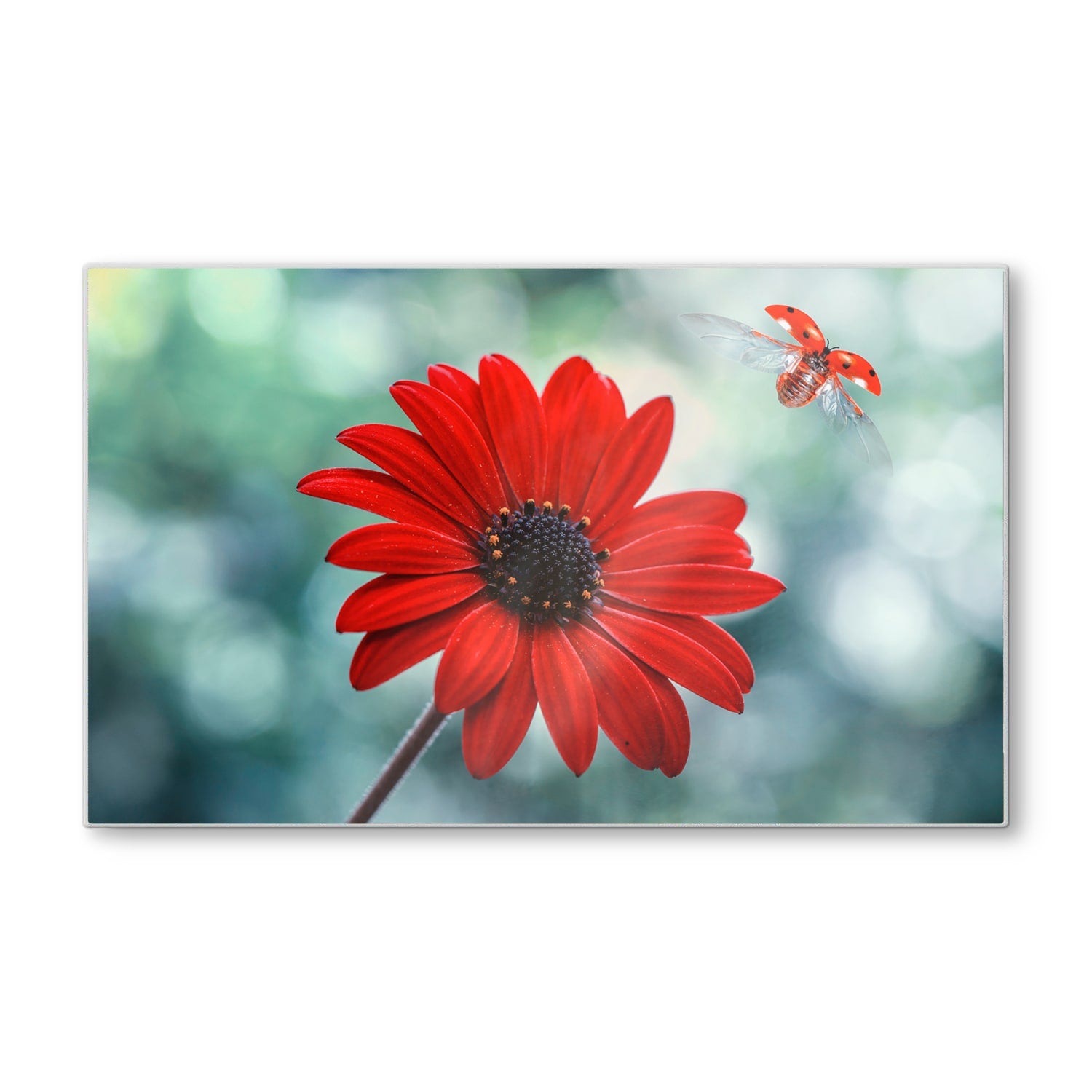 Schneidebrett - Rote Blume und Marienkäfer