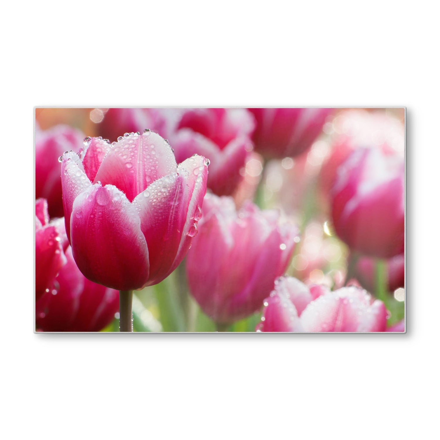 Schneidebrett - Nasse Tulpen