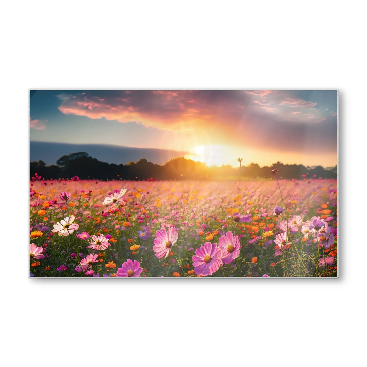 Schneidebrett - Sommerblumen bei Sonnenuntergang