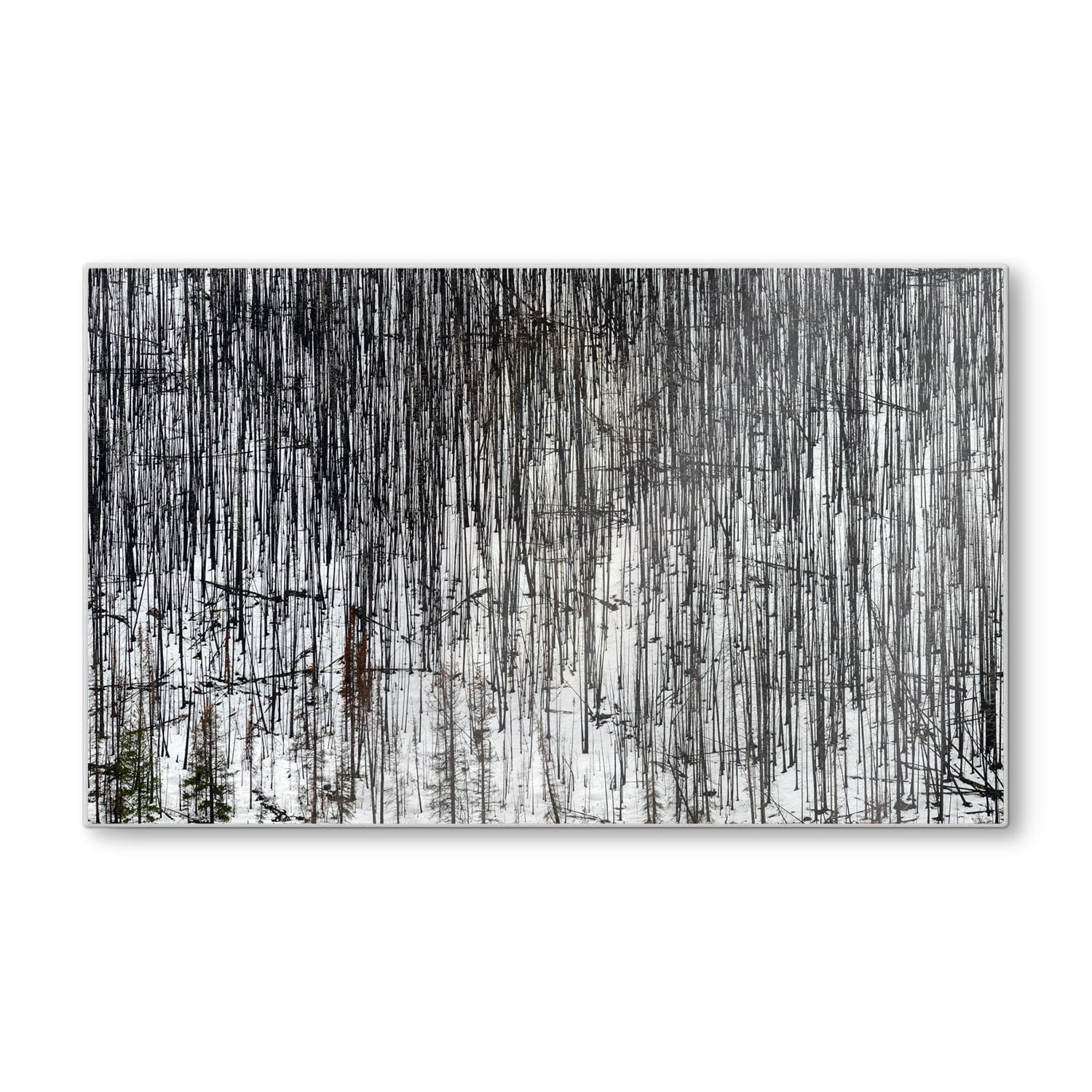 Schneidebrett - Winterwald