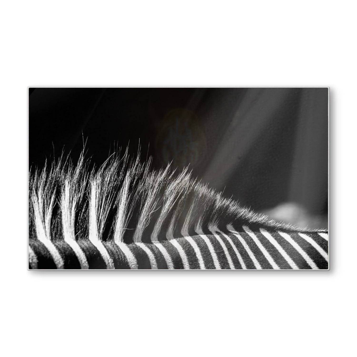 Schneidebrett - Schwarz-weiß Zebra