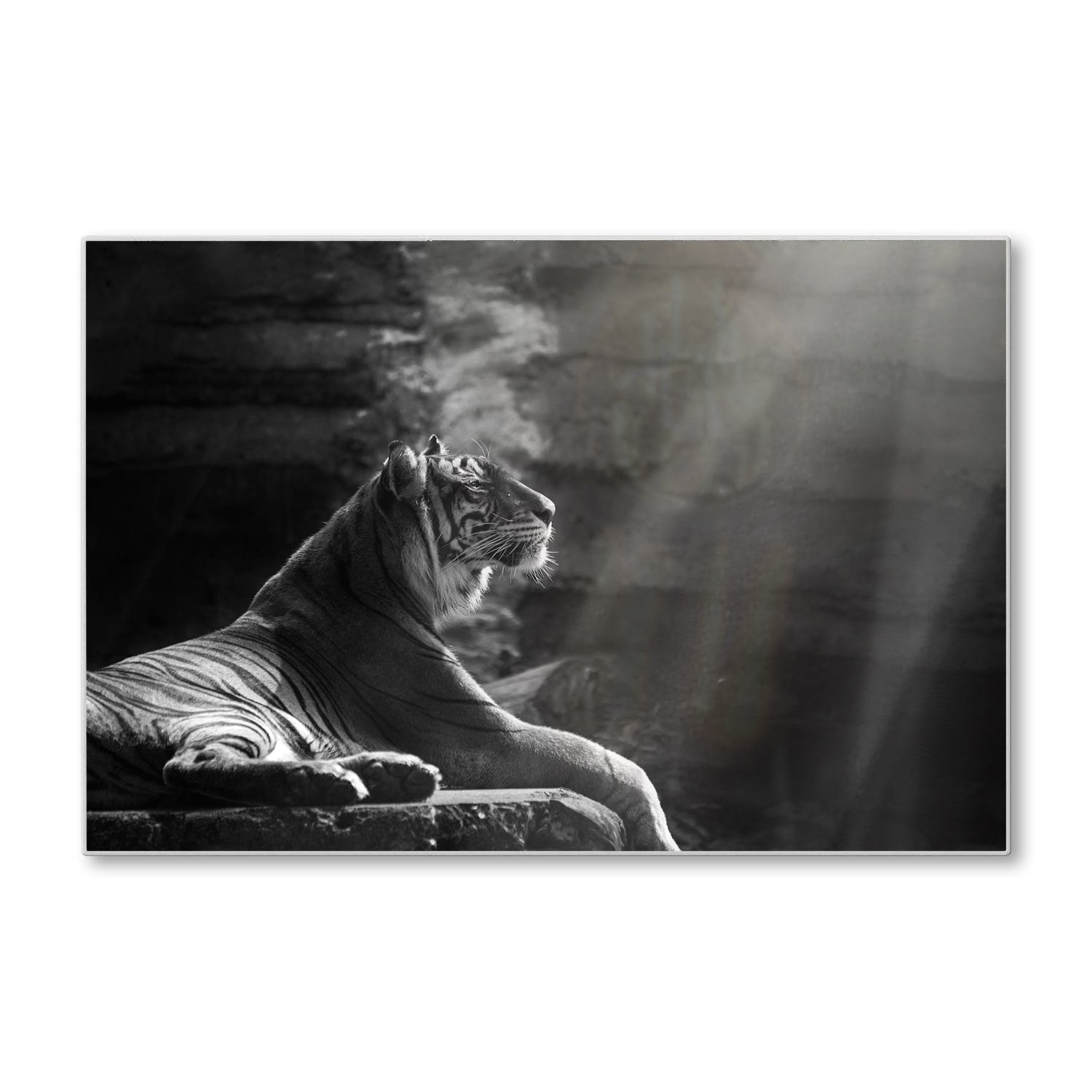 Schneidebrett - Sumatra-Tiger