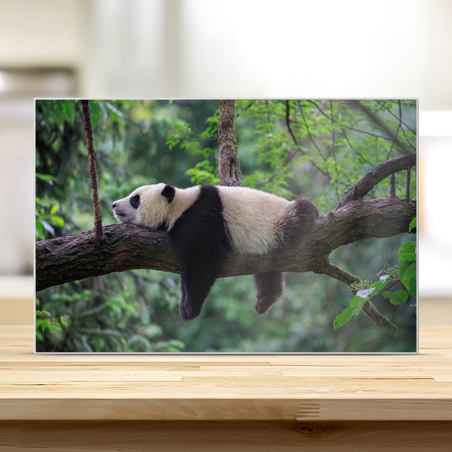Schneidebrett - Panda