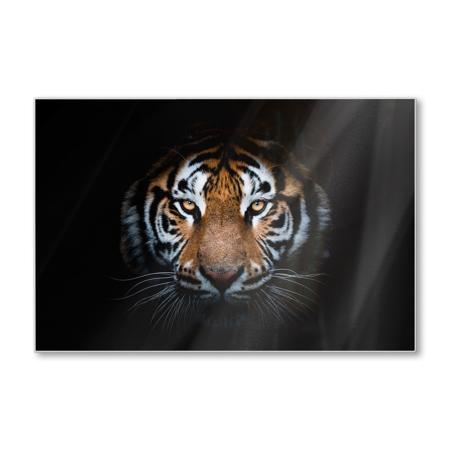 Schneidebrett - Tiger-Porträt