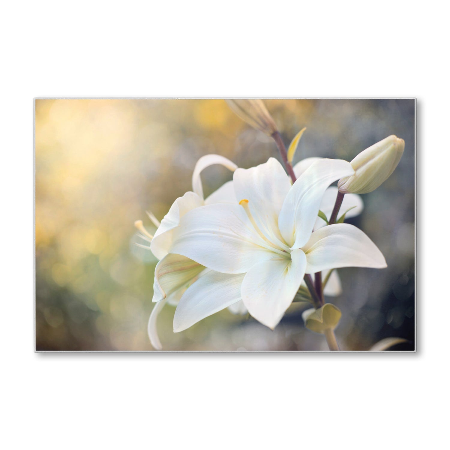 Schneidebrett - Weiße Lilienblüte
