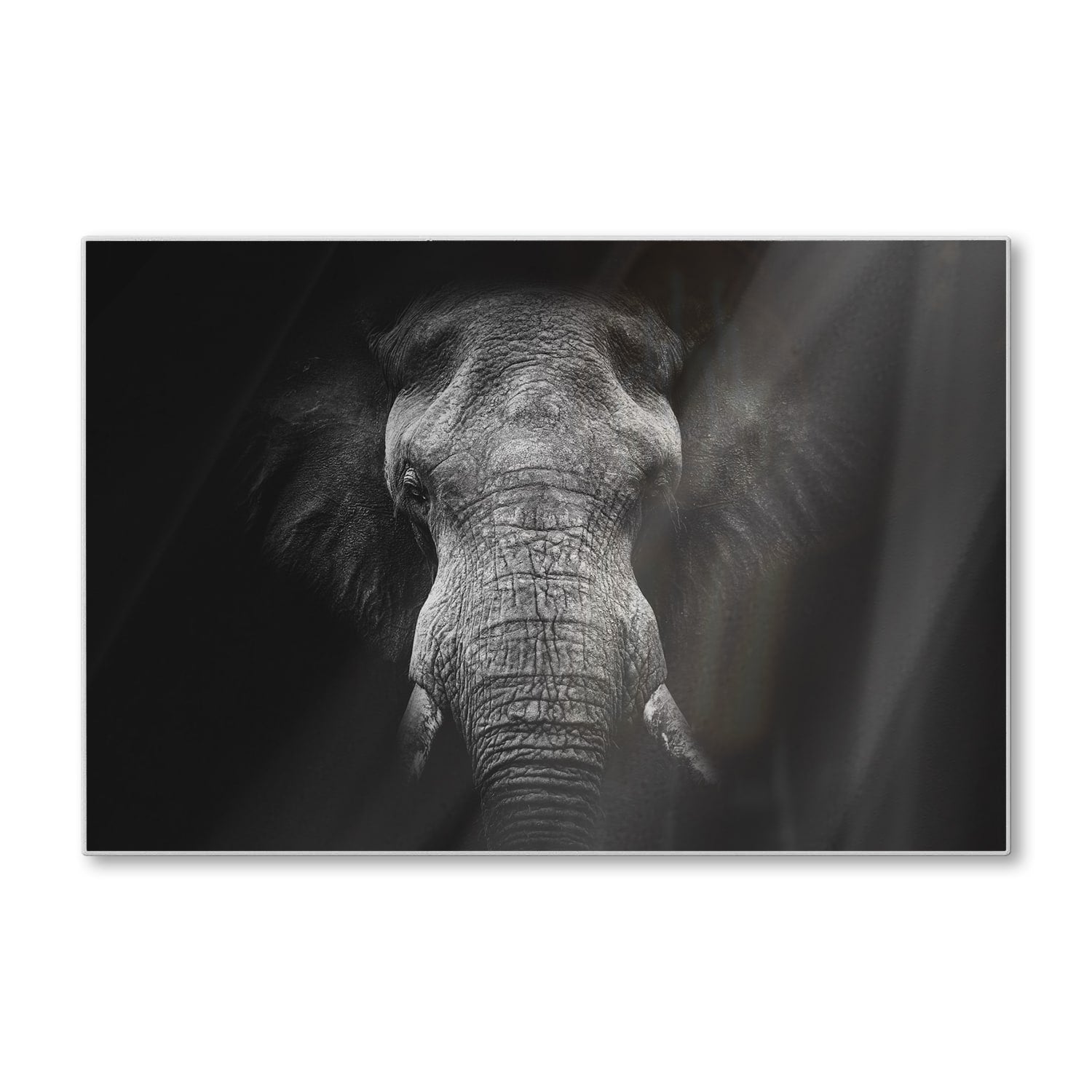 Schneidebrett - Schwarz/Weiß Elefant