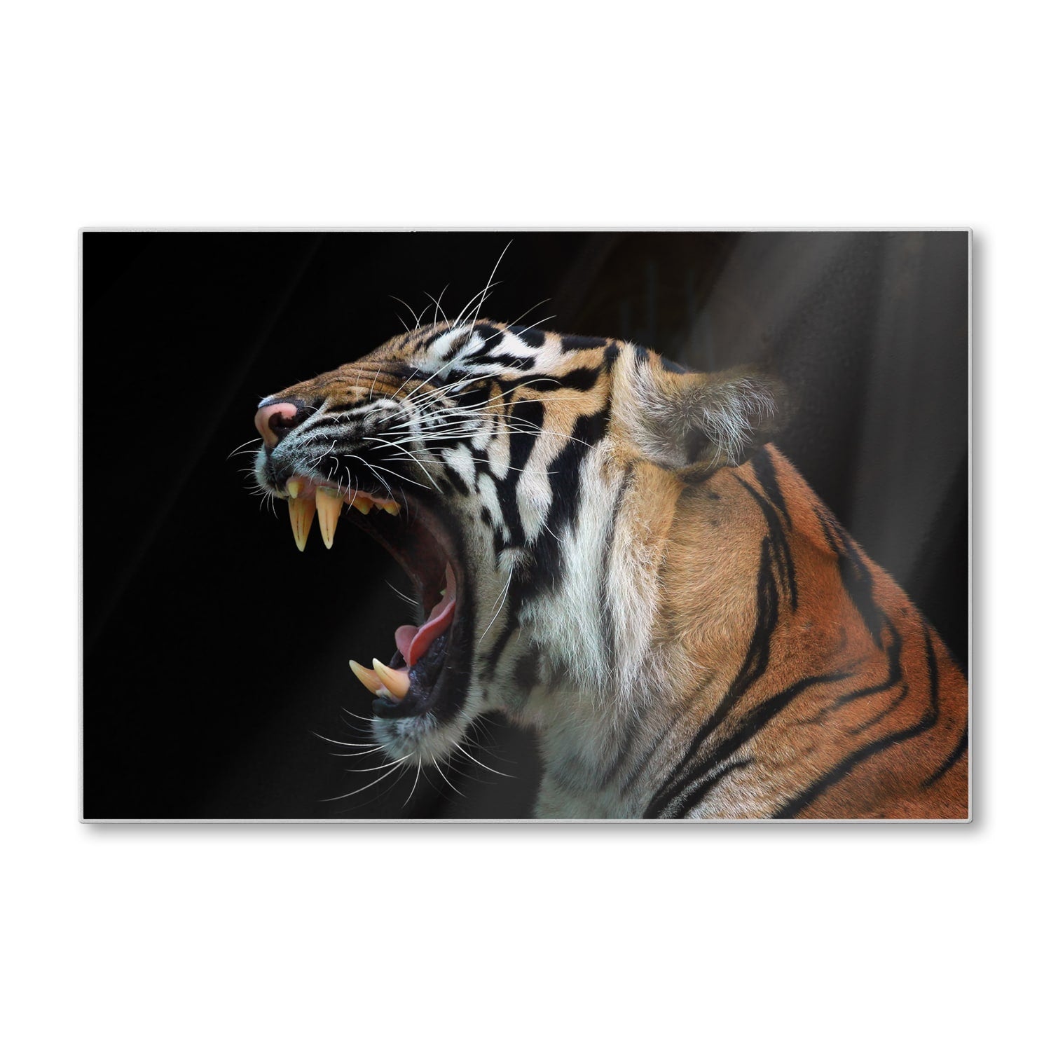 Schneidebrett - Kopf des Sumatra-Tigers