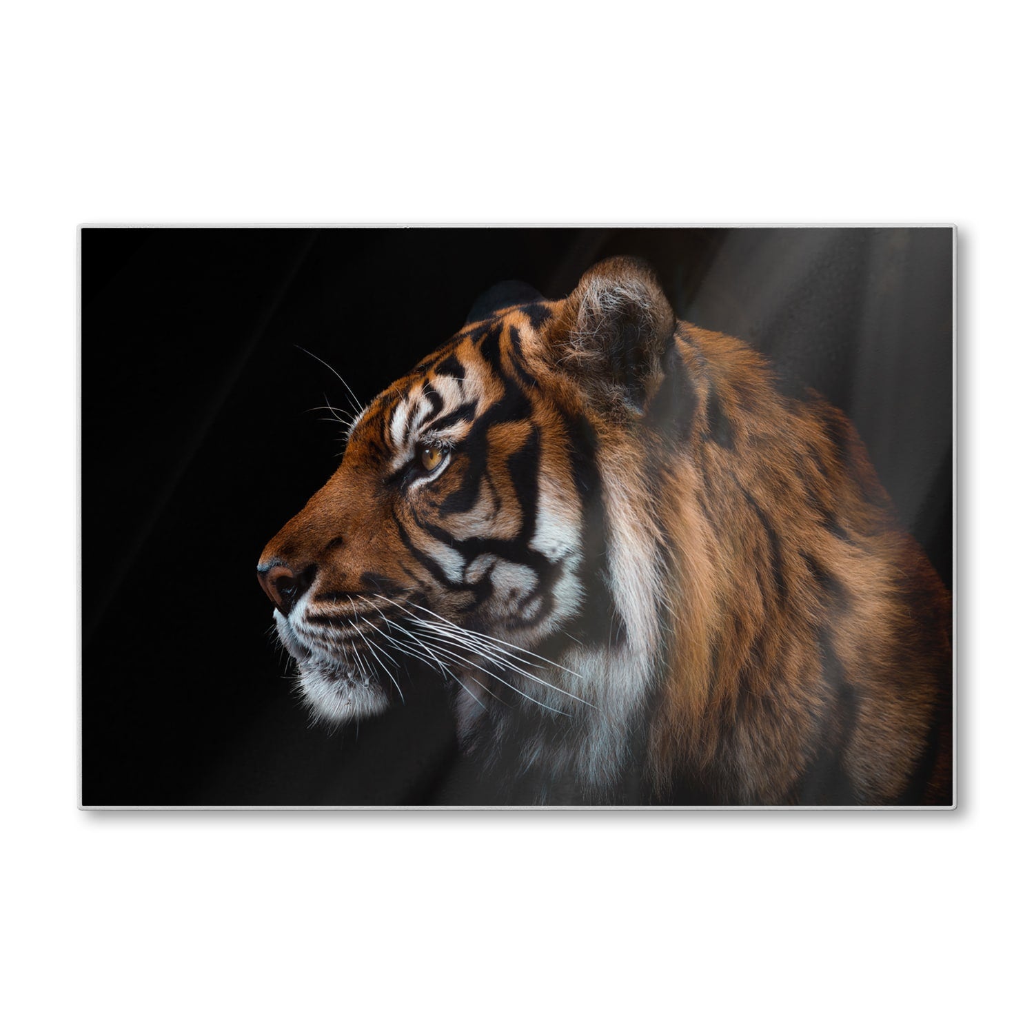 Schneidebrett - Tiger-Seitenporträt