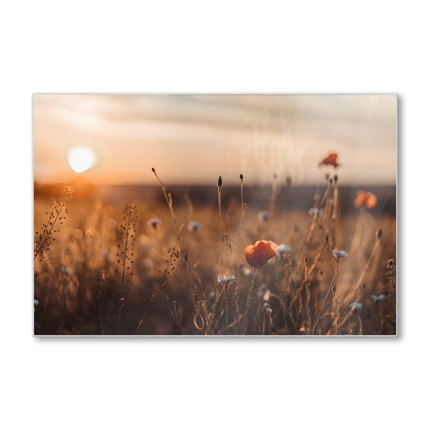 Schneidebrett - Mohnblumen im Feld