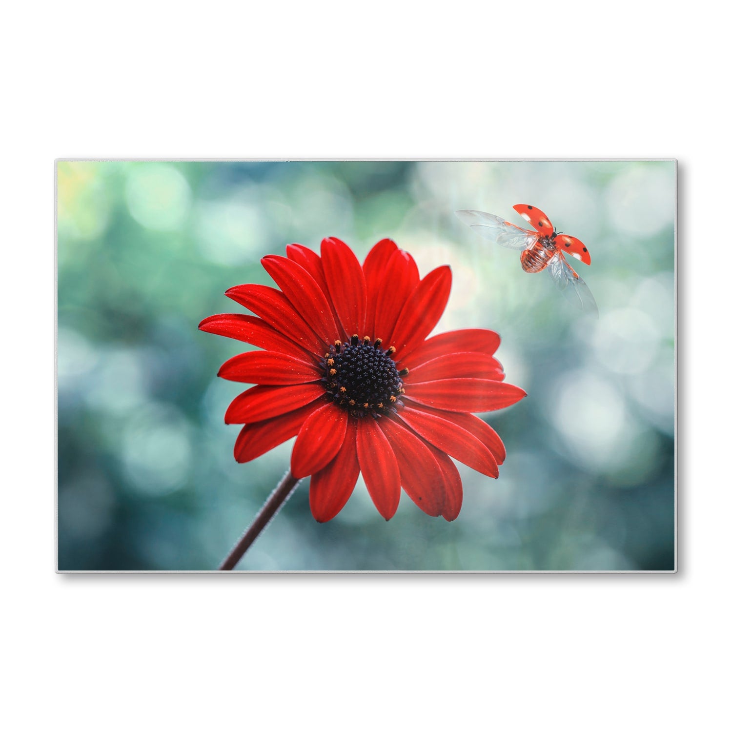 Schneidebrett - Rote Blume und Marienkäfer