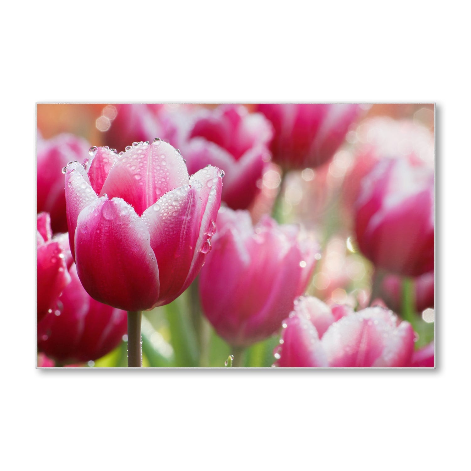 Schneidebrett - Nasse Tulpen