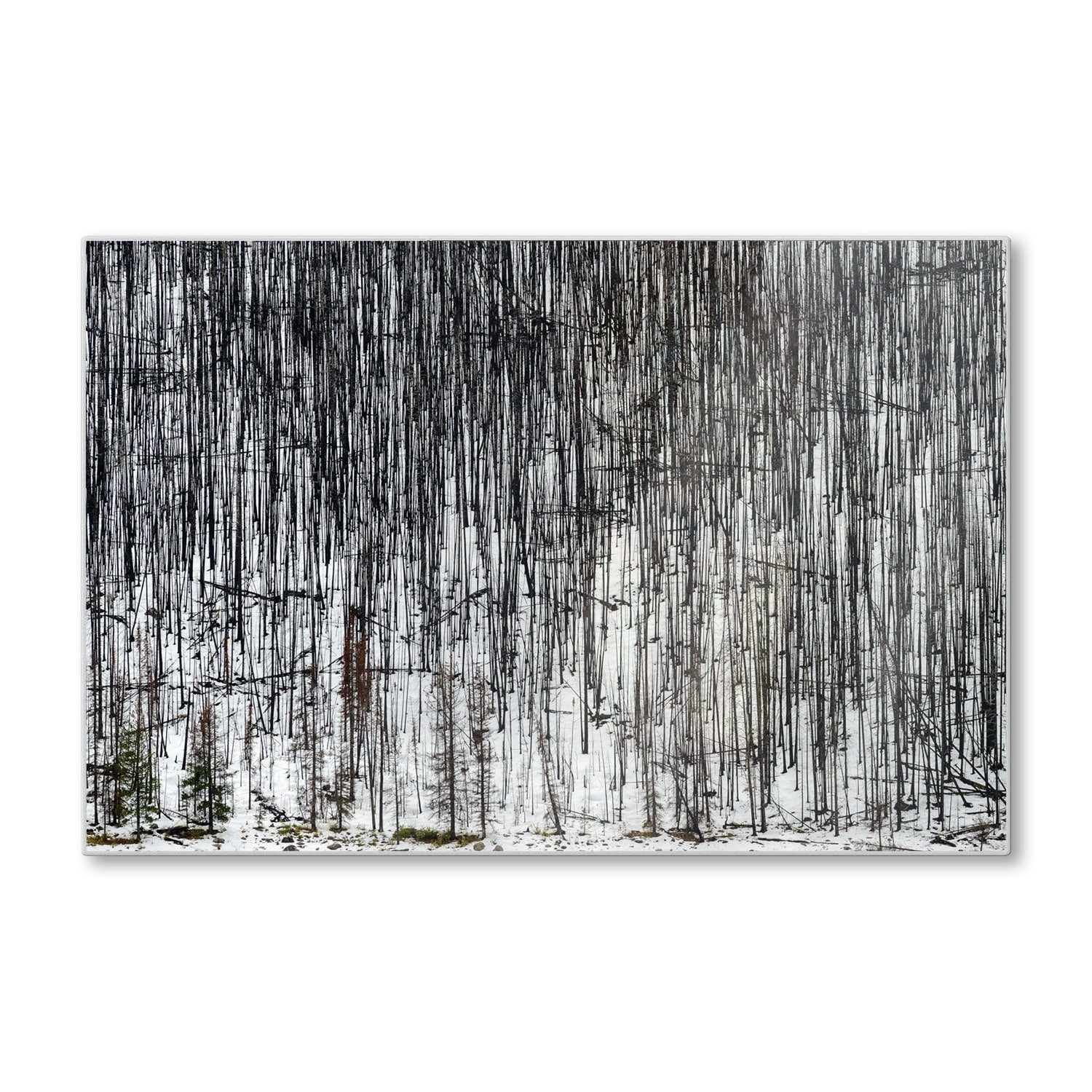 Schneidebrett - Winterwald