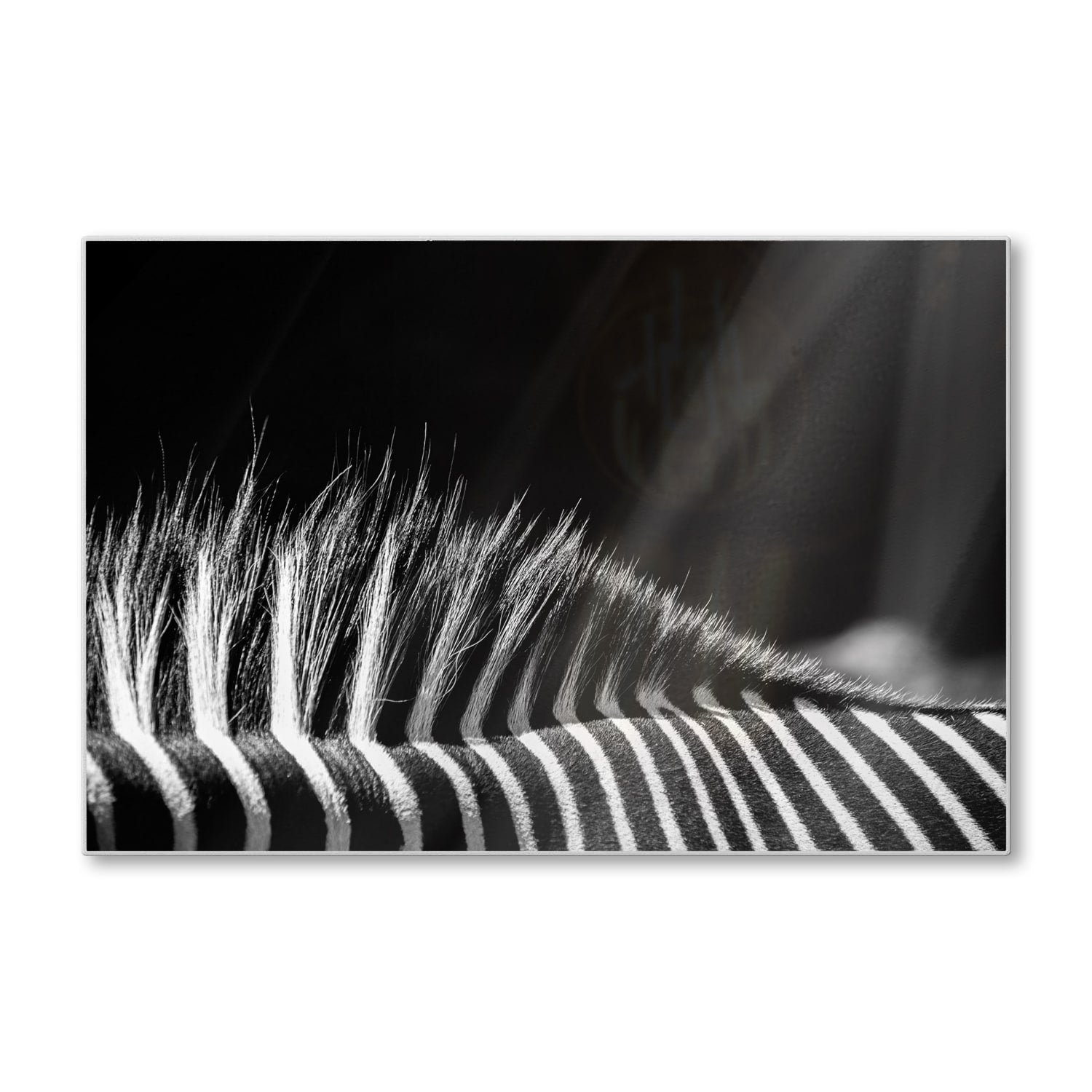 Schneidebrett - Schwarz-weiß Zebra