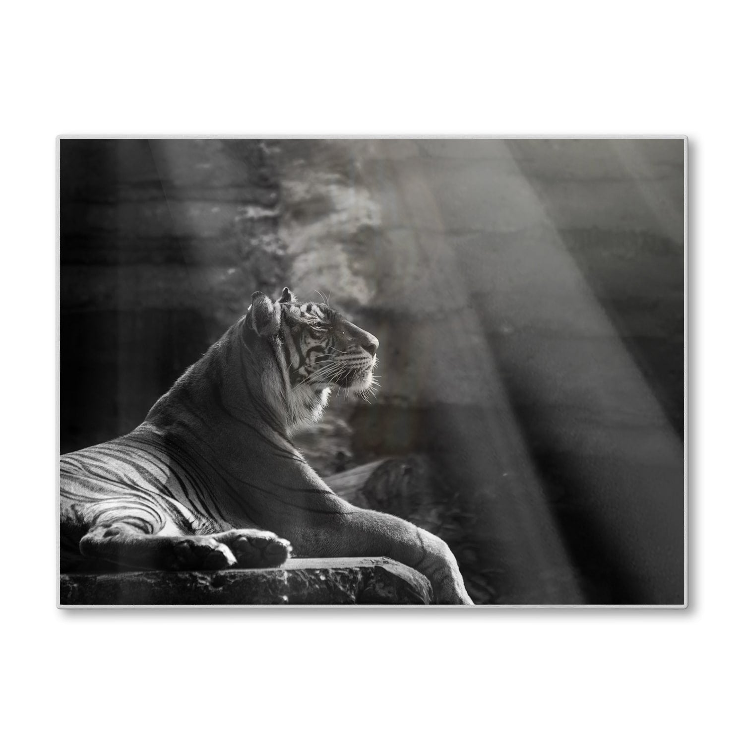 Schneidebrett - Sumatra-Tiger