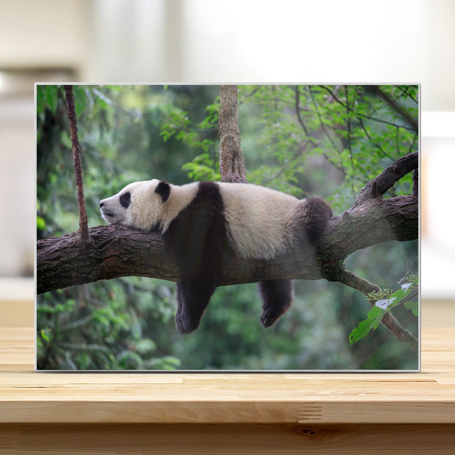Schneidebrett - Panda