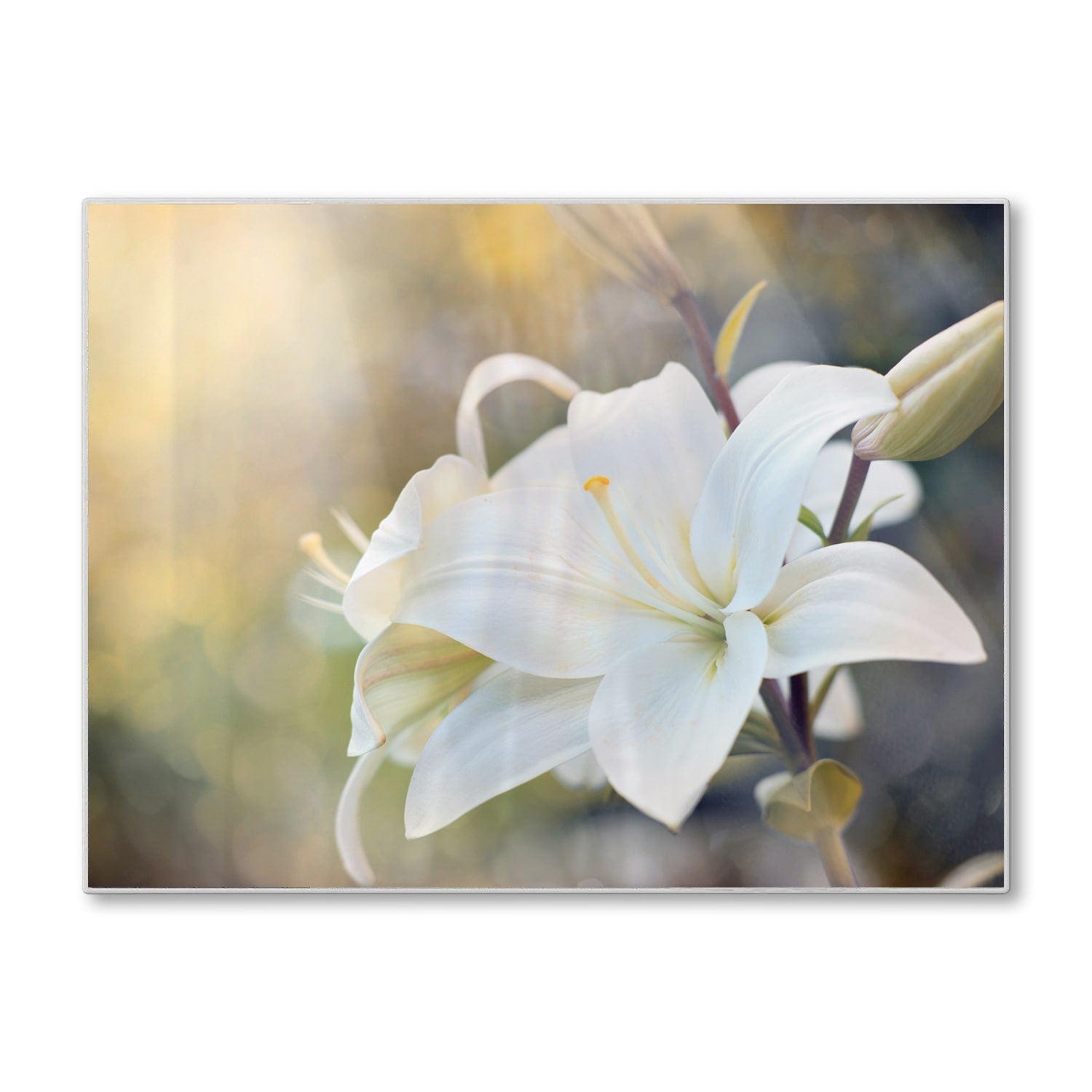 Schneidebrett - Weiße Lilienblüte