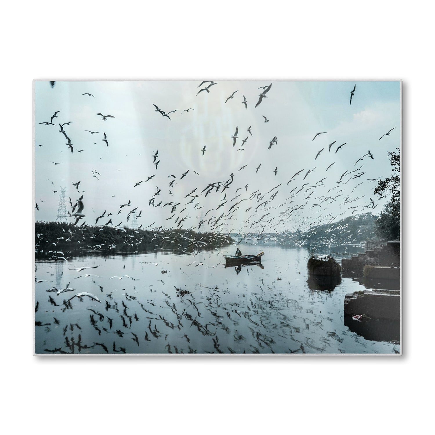 Schneidebrett - Vogel fliegt über Wasser