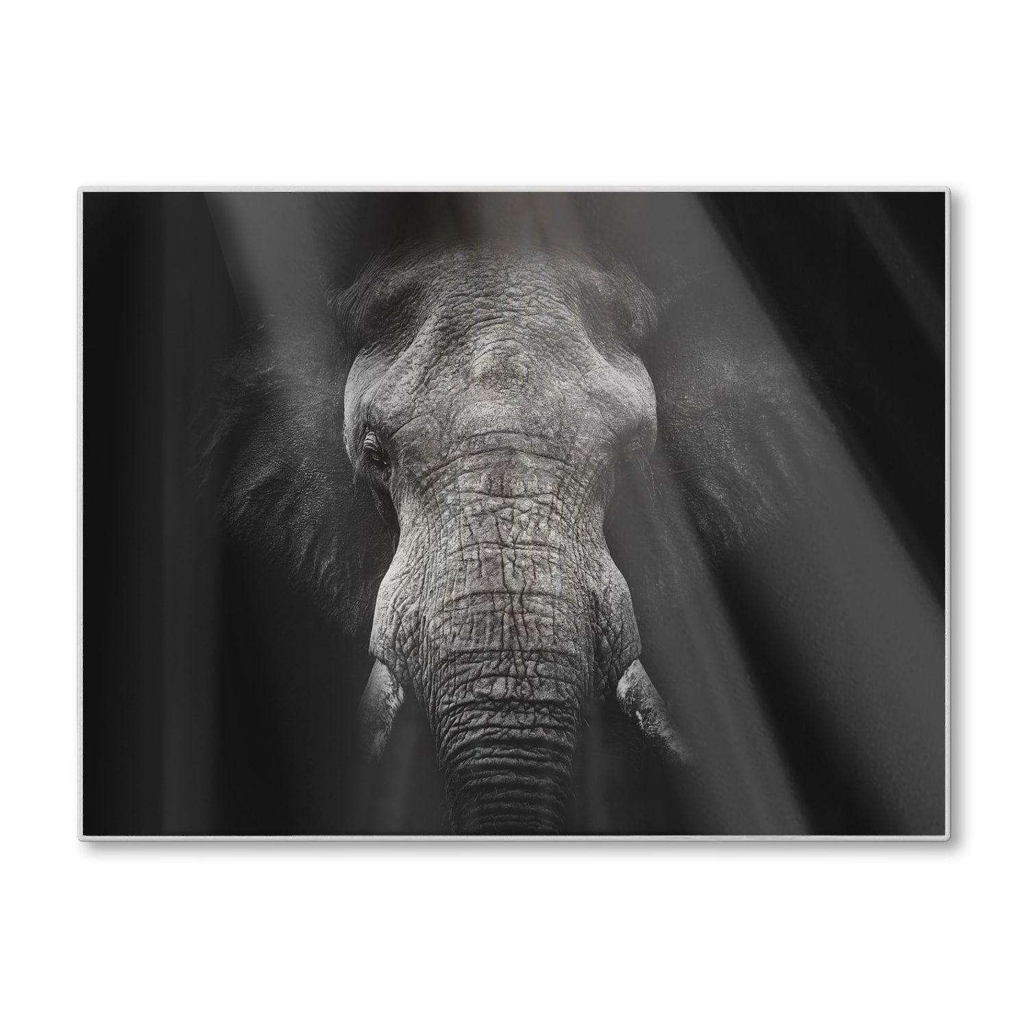 Schneidebrett - Schwarz/Weiß Elefant