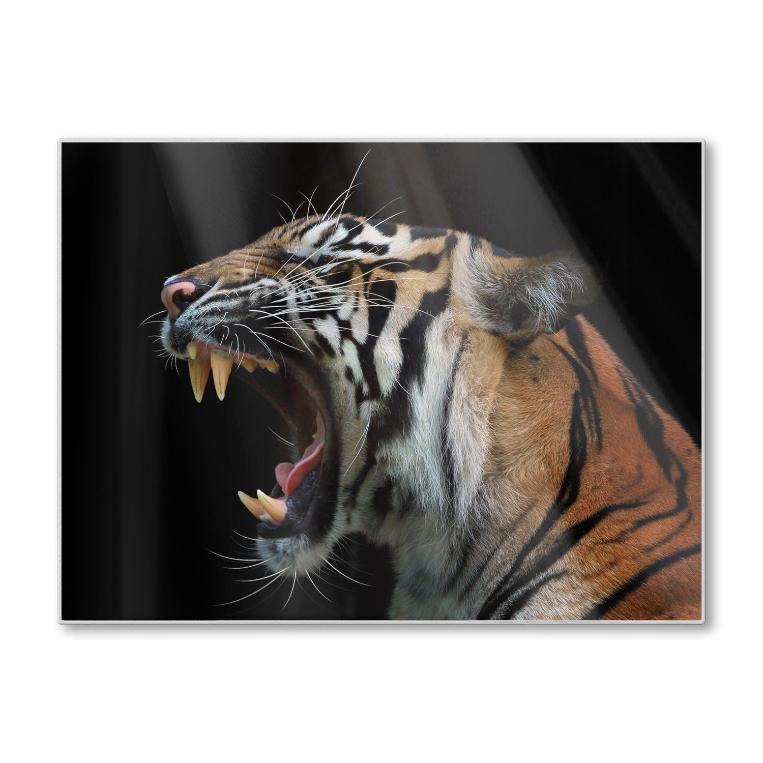 Schneidebrett - Kopf des Sumatra-Tigers