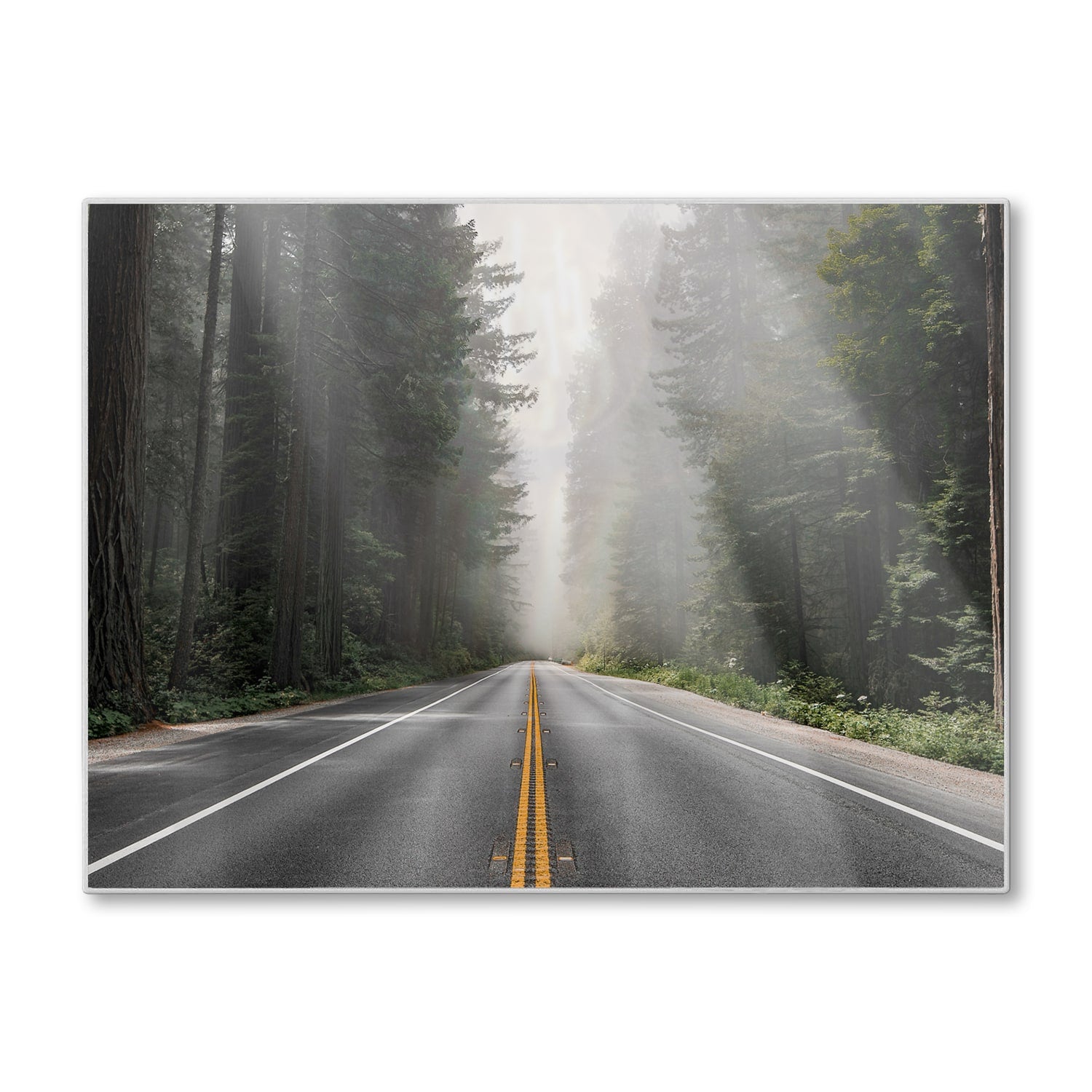 Schneidebrett - Redwood National Forest