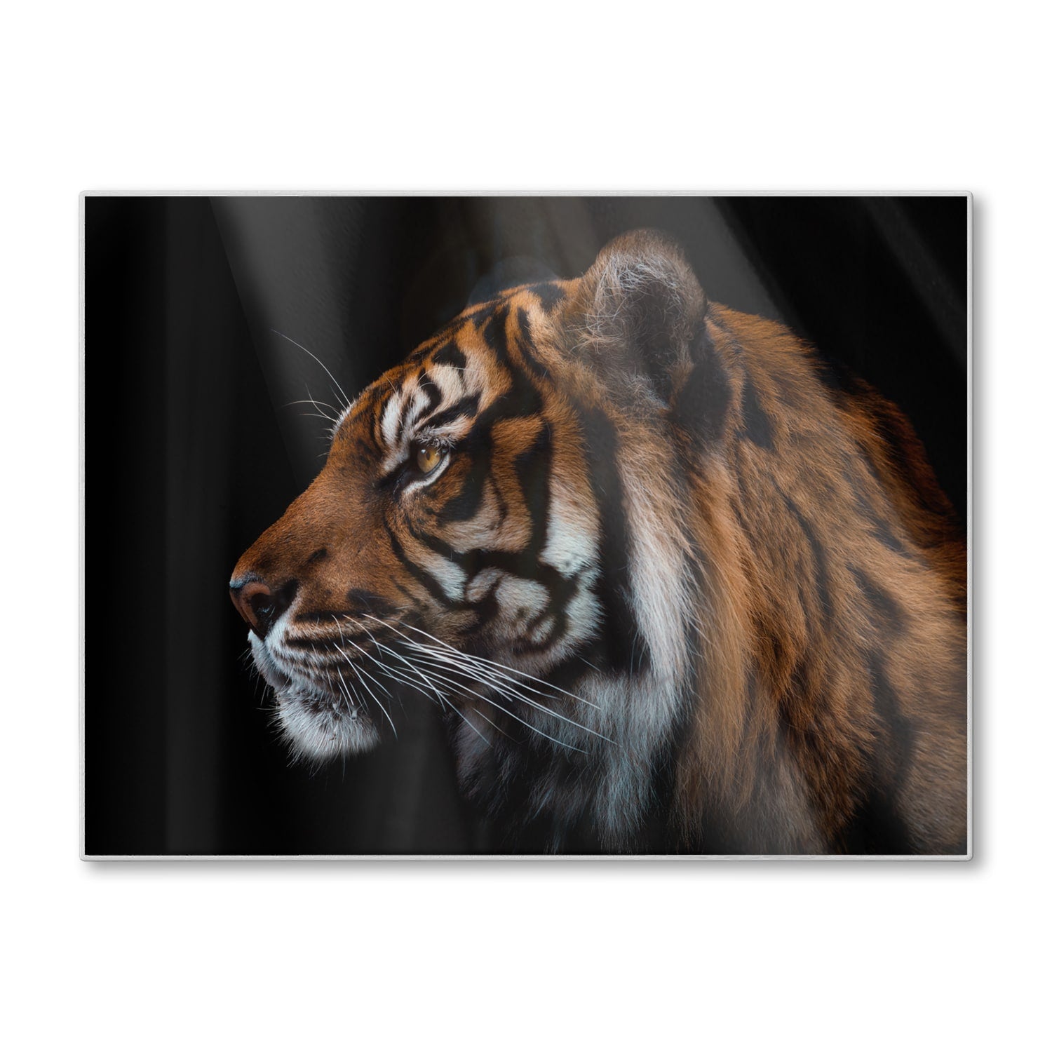 Schneidebrett - Tiger-Seitenporträt