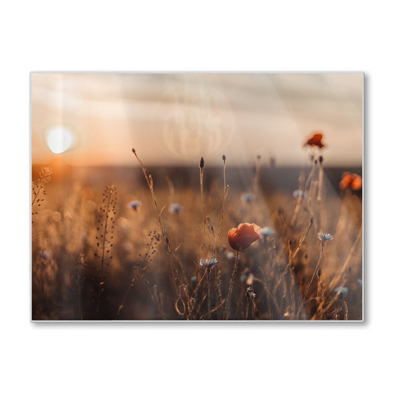 Schneidebrett - Mohnblumen im Feld