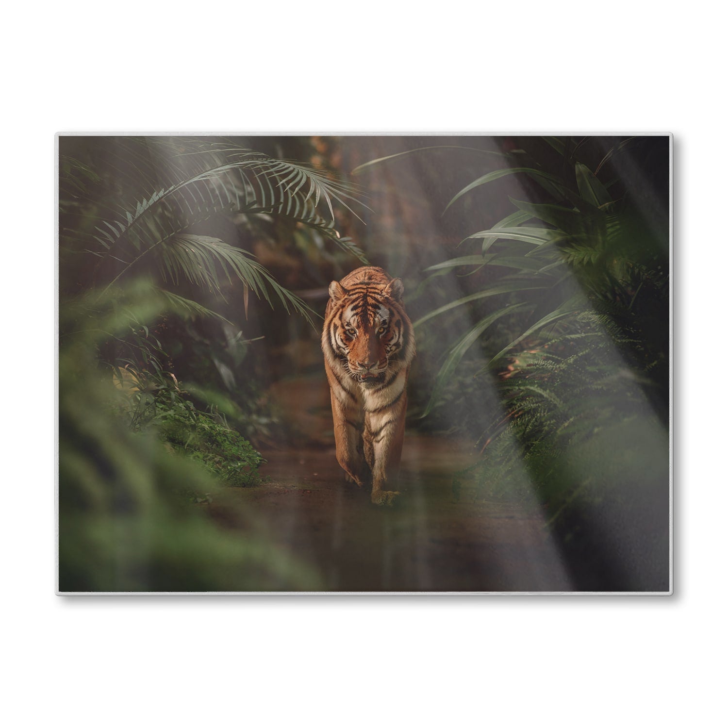 Schneidebrett - Tiger im Wald