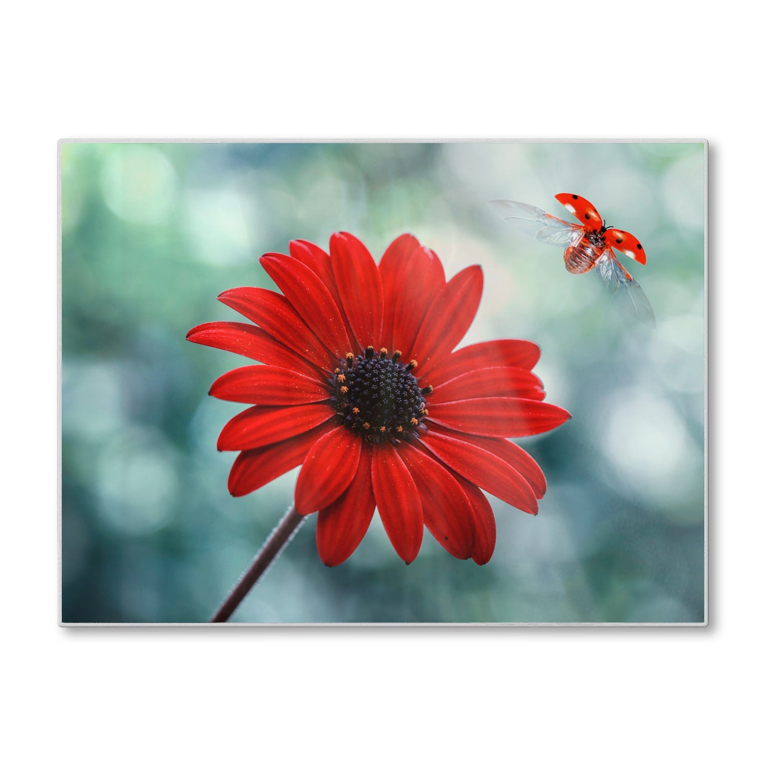 Schneidebrett - Rote Blume und Marienkäfer
