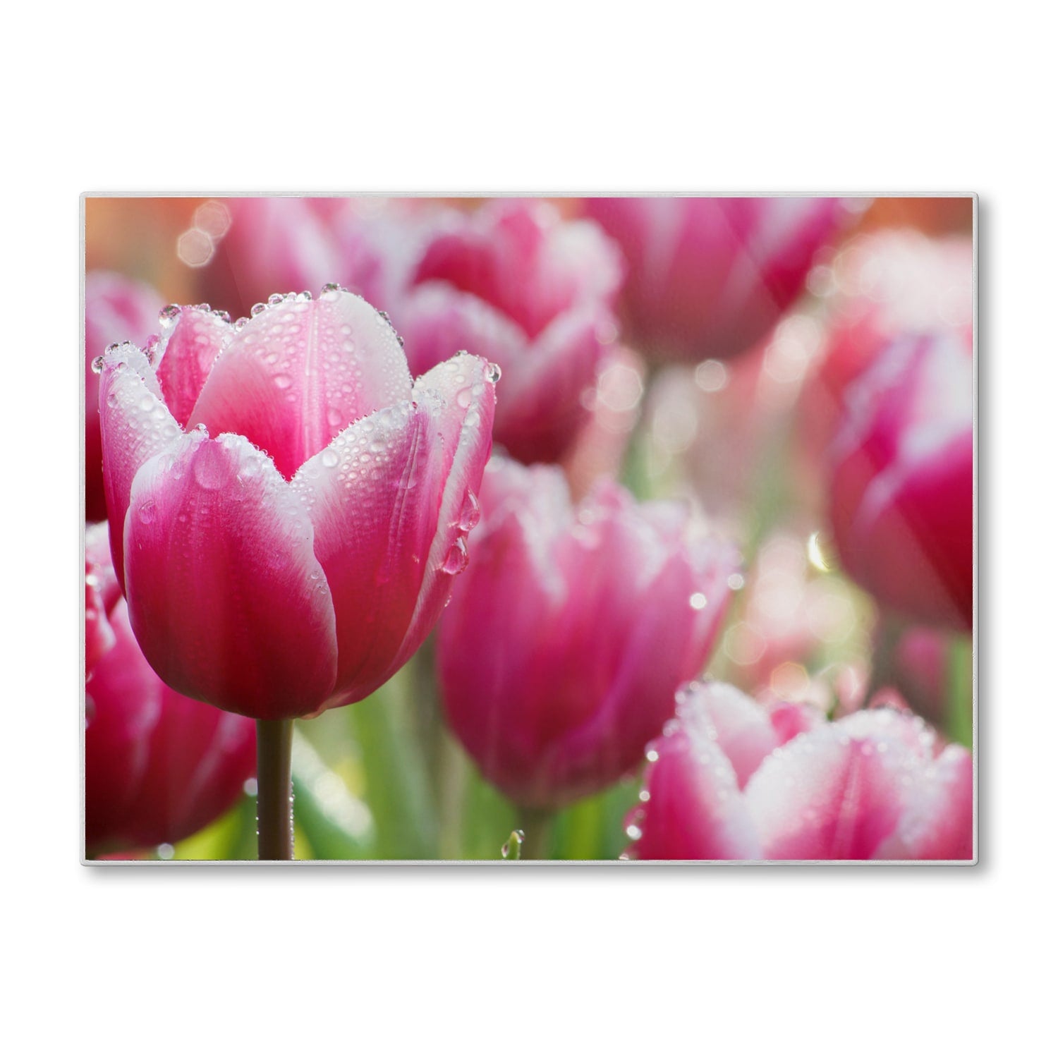 Schneidebrett - Nasse Tulpen