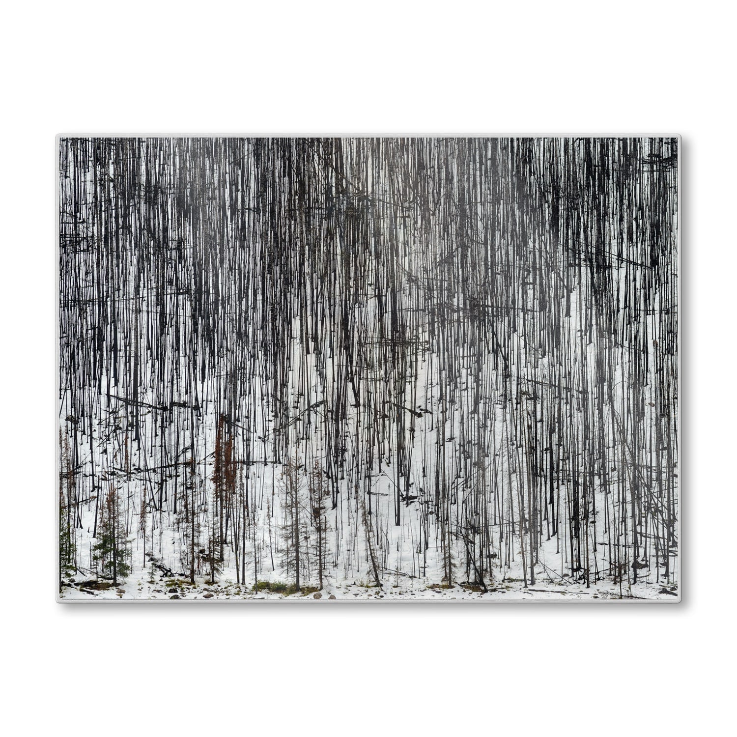 Schneidebrett - Winterwald