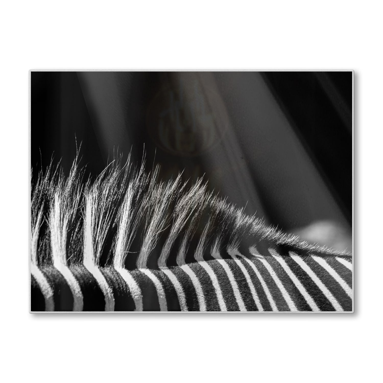 Schneidebrett - Schwarz-weiß Zebra