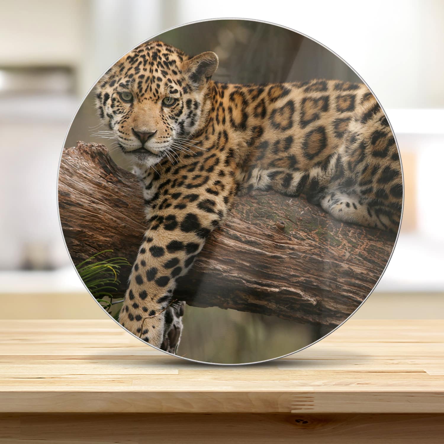 Schneidebrett Rund - Jaguar auf dem Baum