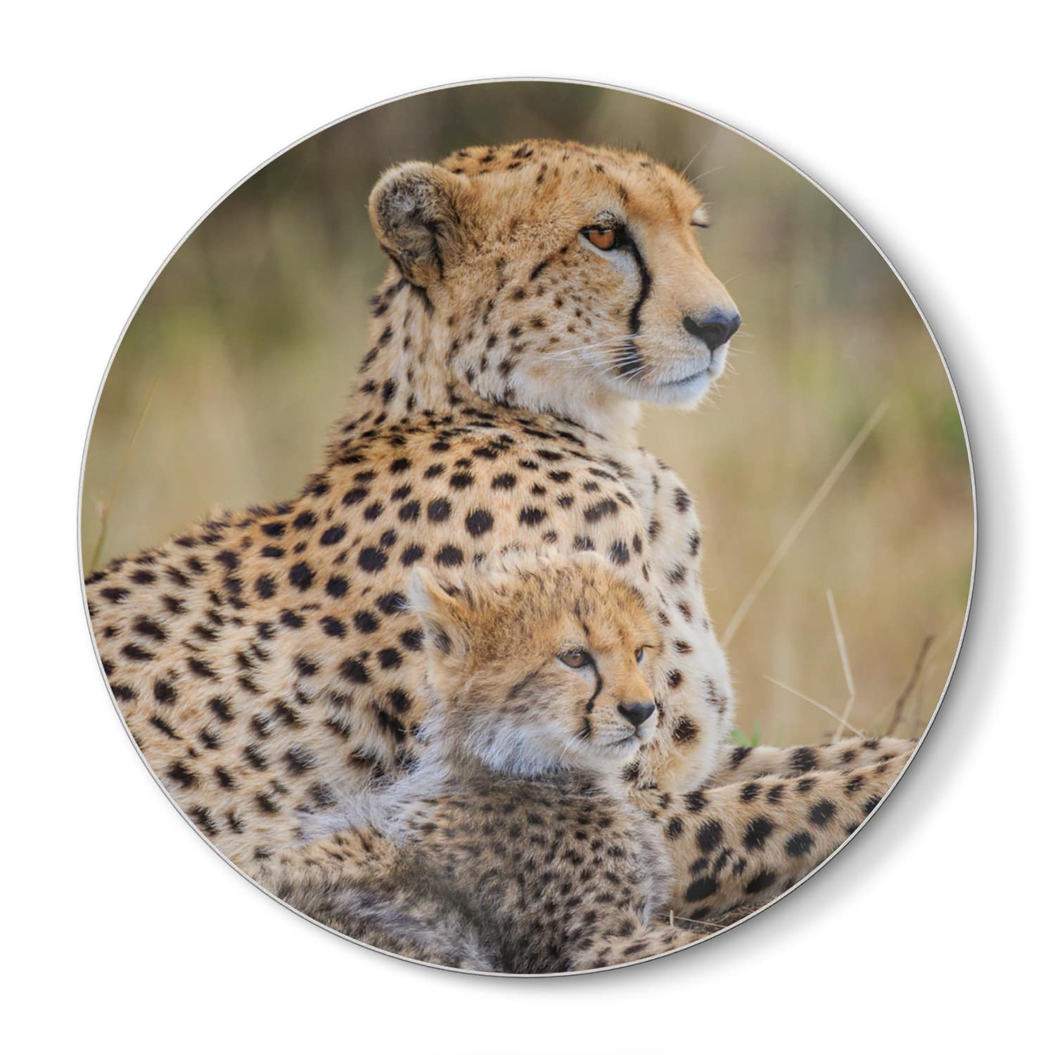 Schneidebrett Rund - Gepard mit Jungtier