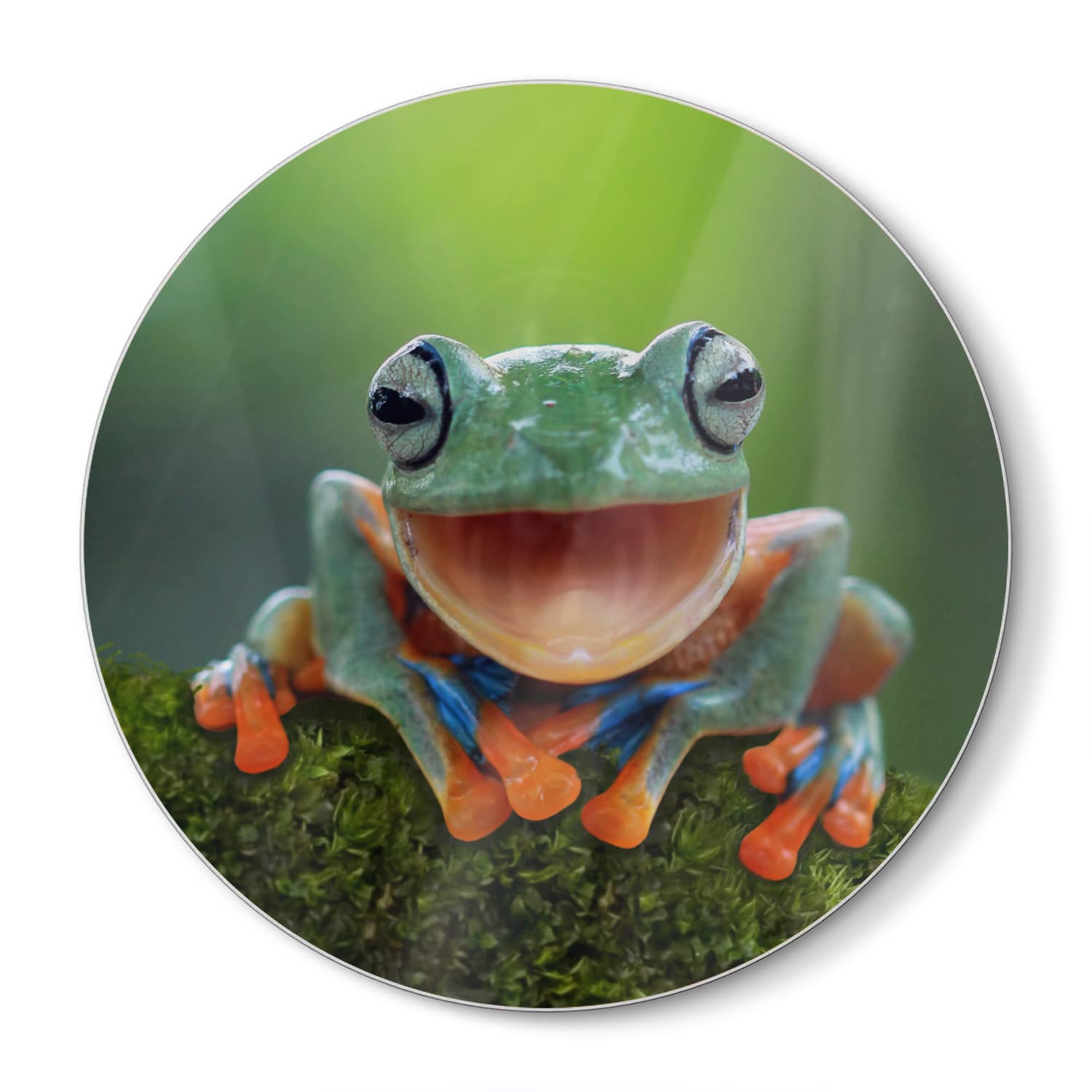 Schneidebrett Rund - Baumfrosch