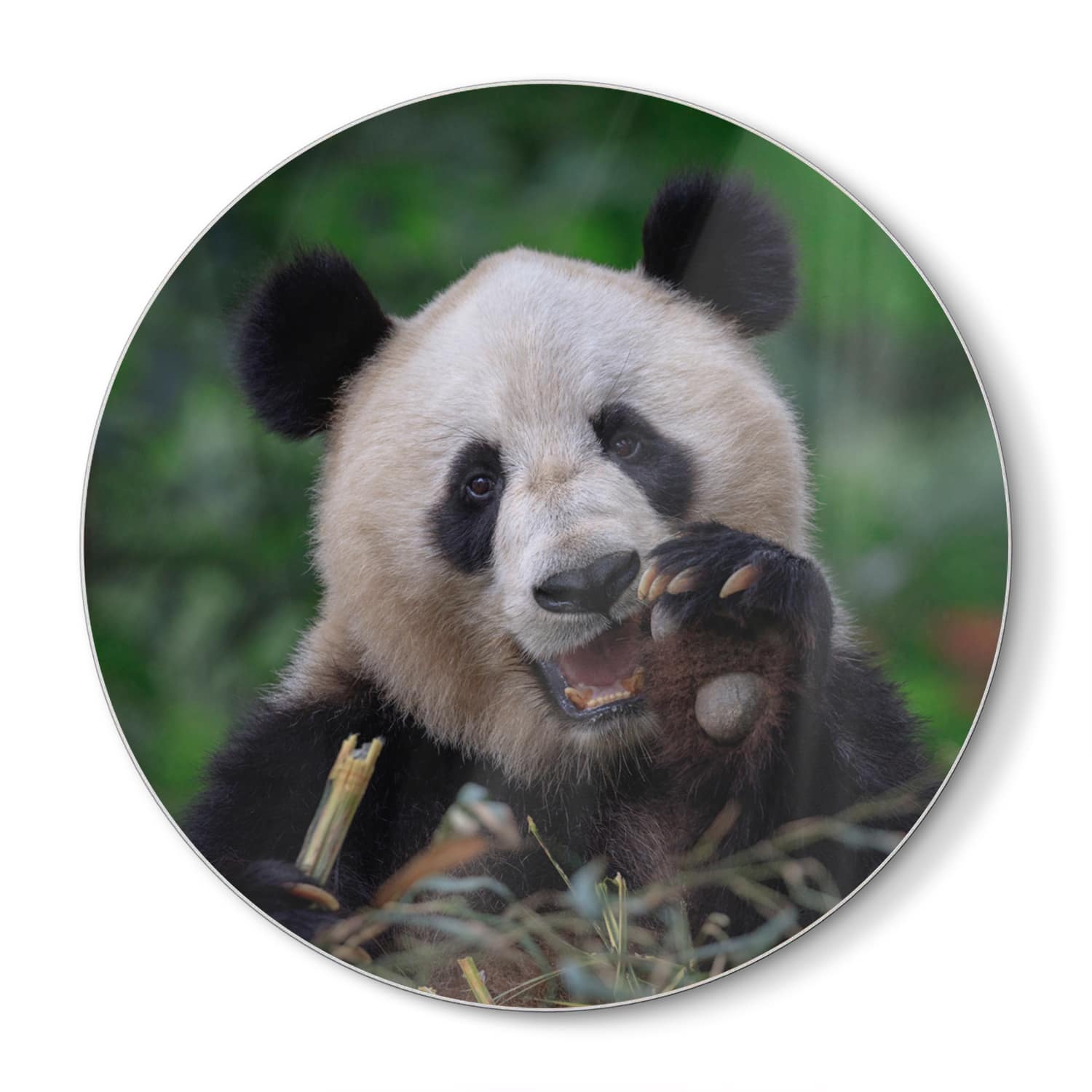Schneidebrett Rund - Glücklicher Panda