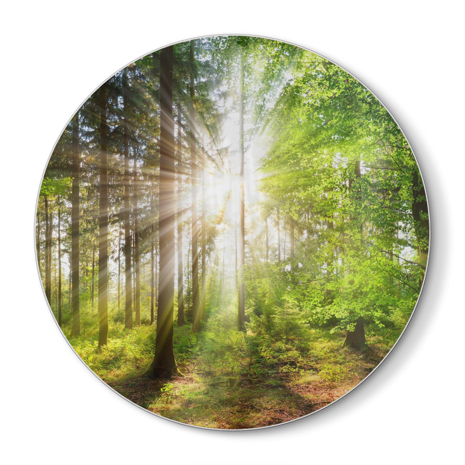 Schneidebrett Rund - Sonnenlicht im Wald
