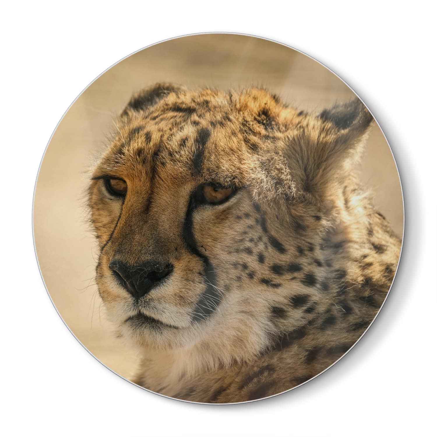 Schneidebrett Rund - Gepard Nahaufnahme