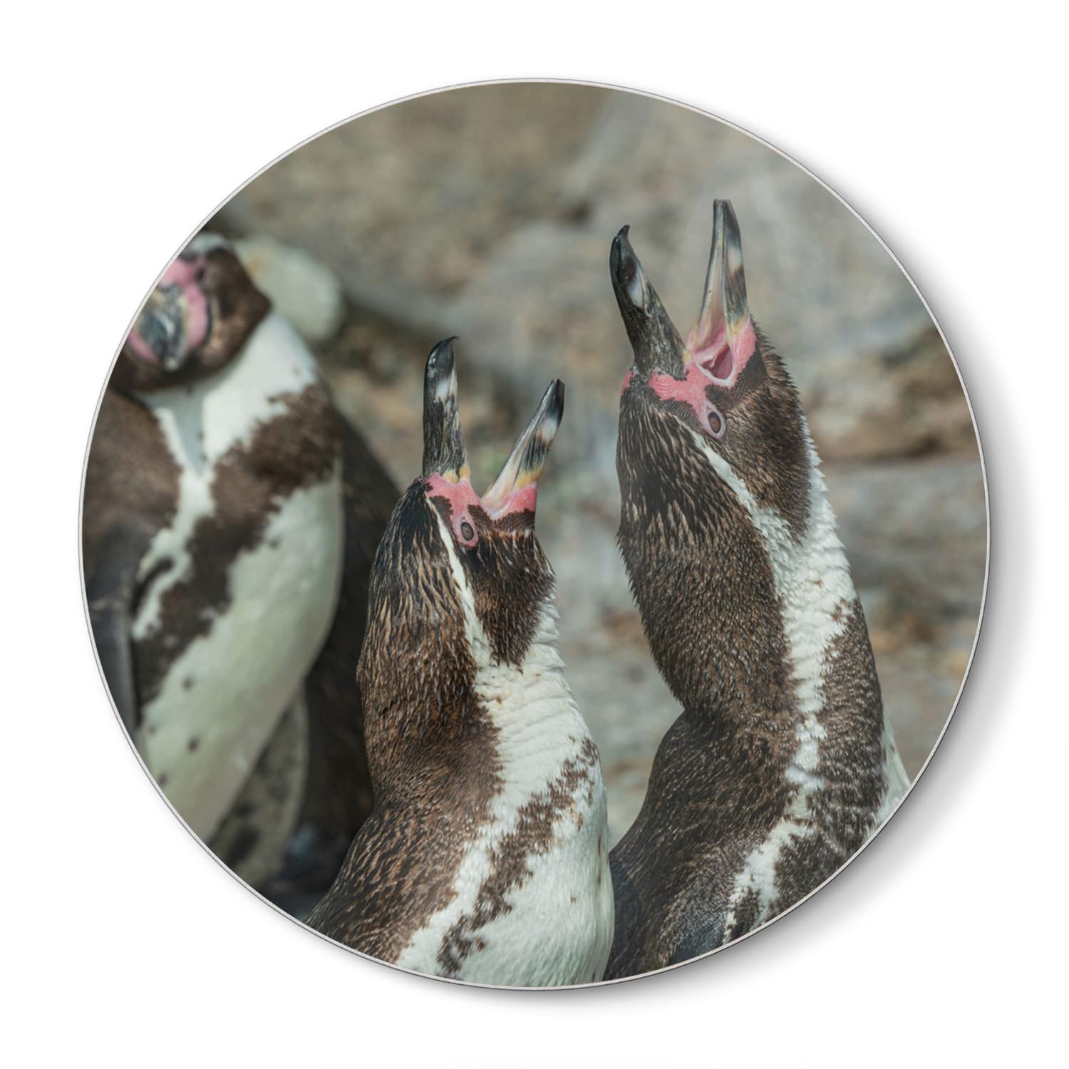 Schneidebrett Rund - Fröhliche Pinguine