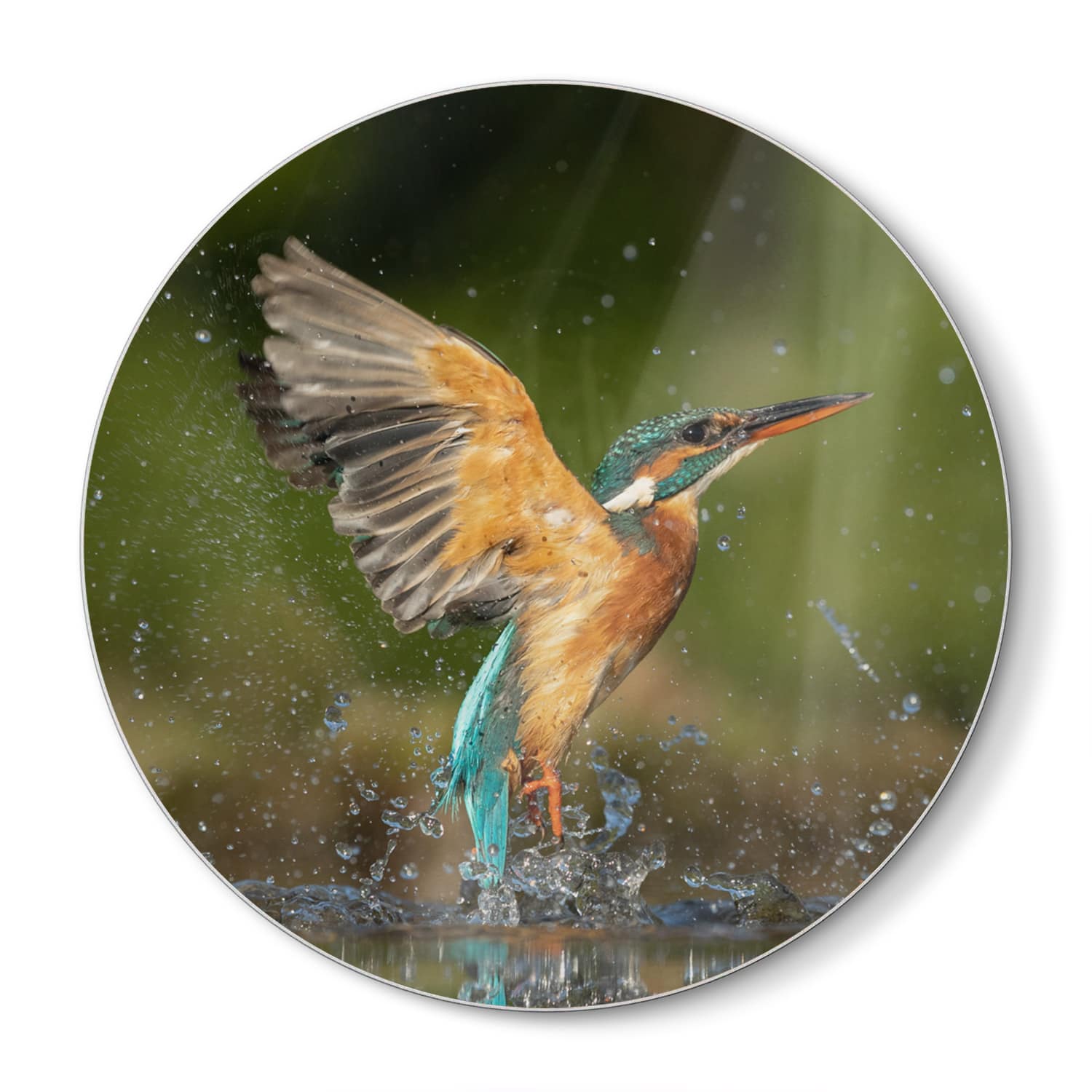 Schneidebrett Rund - Eisvogel