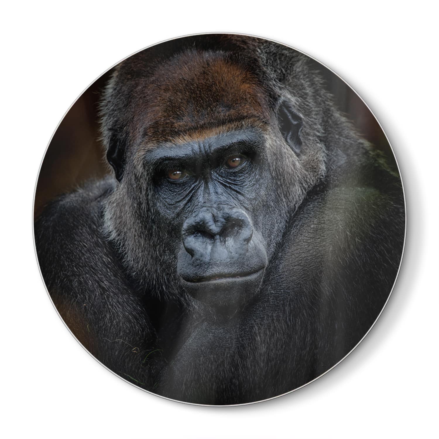 Schneidebrett Rund - Gorilla