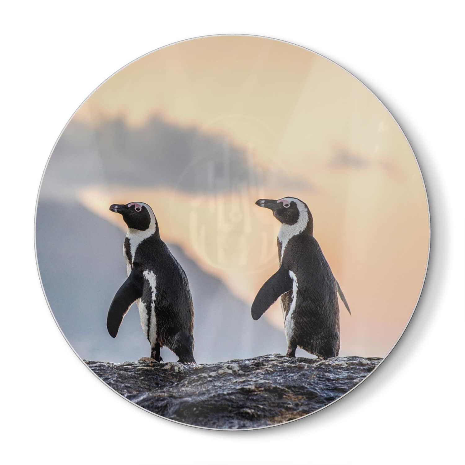 Schneidebrett Rund - Afrikanische Pinguine