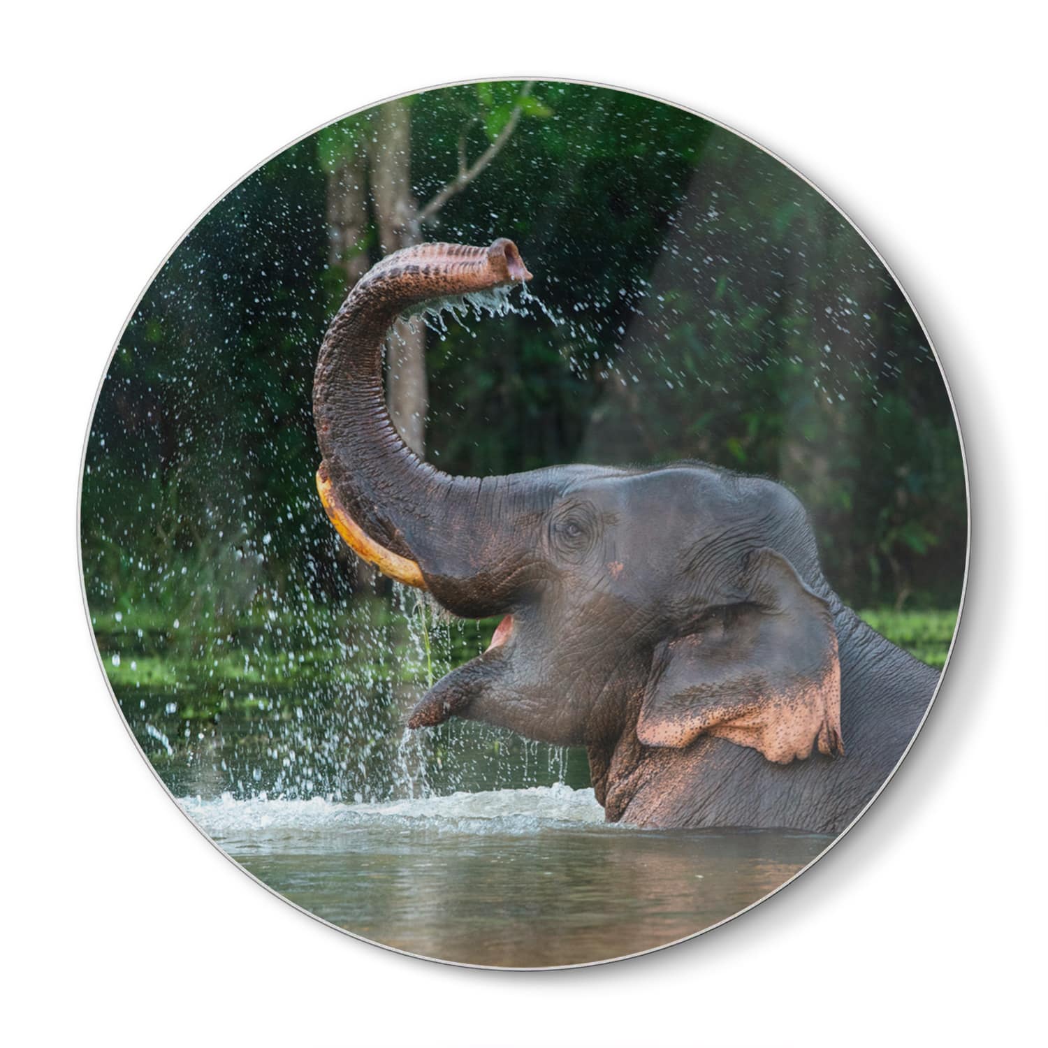 Schneidebrett Rund - Badender Elefant