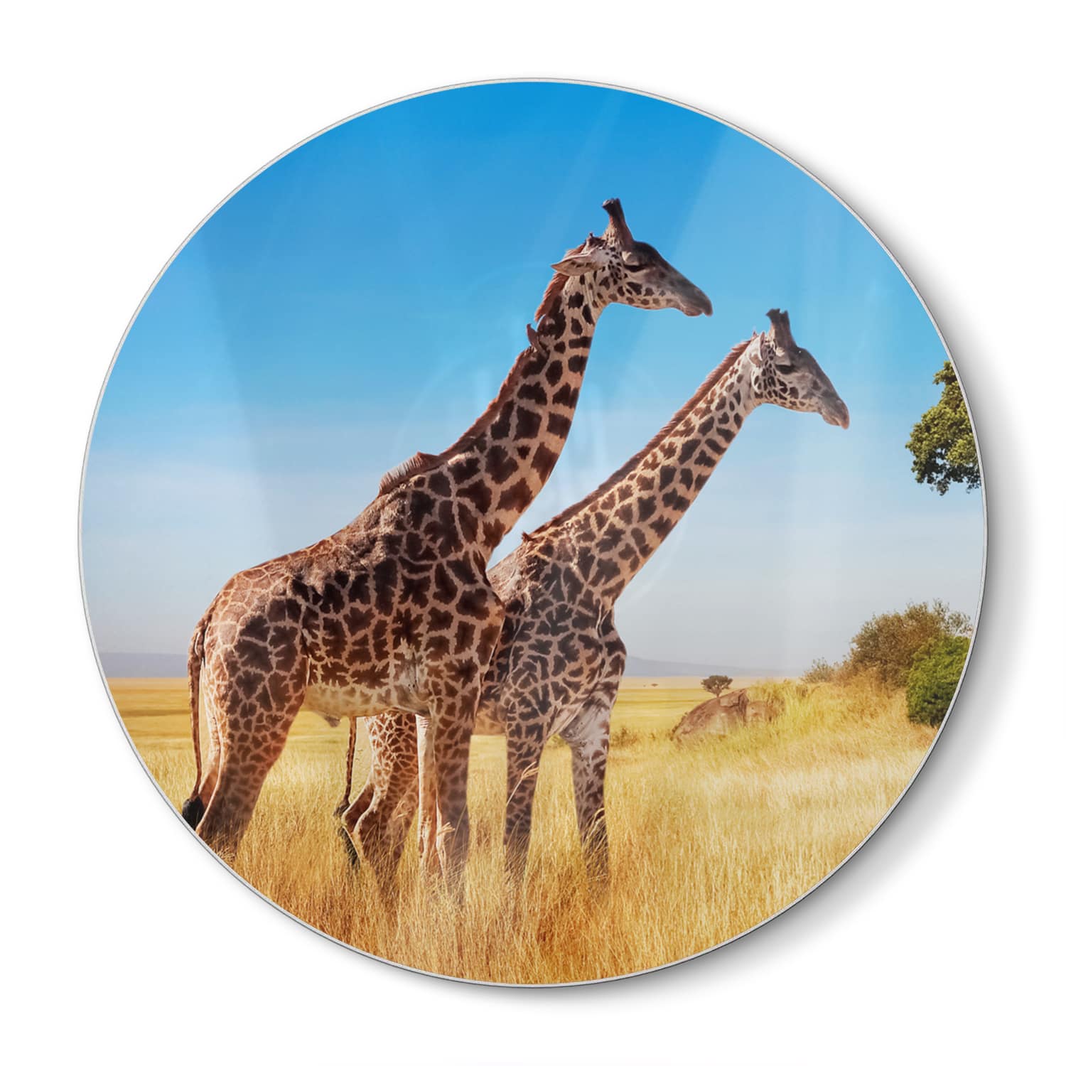 Schneidebrett Rund - Giraffen